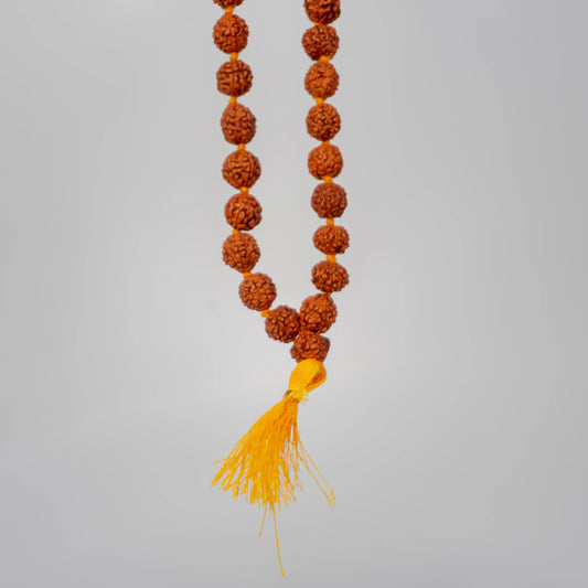 Japa mala - Rudraksha